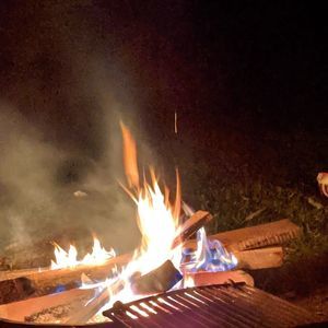 Meet your Posher, Timothy